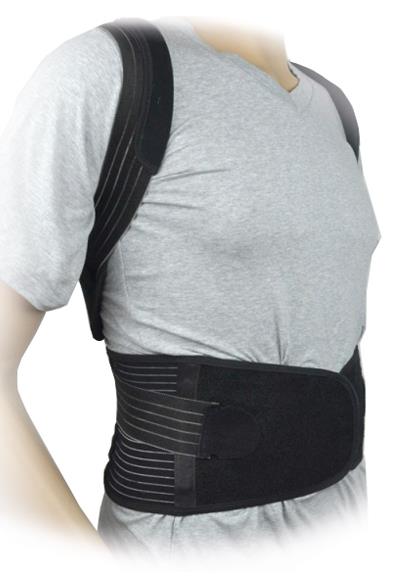 Back Pain Belt