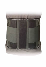 Fit Lumbar Support