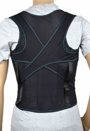 Posture Back Support